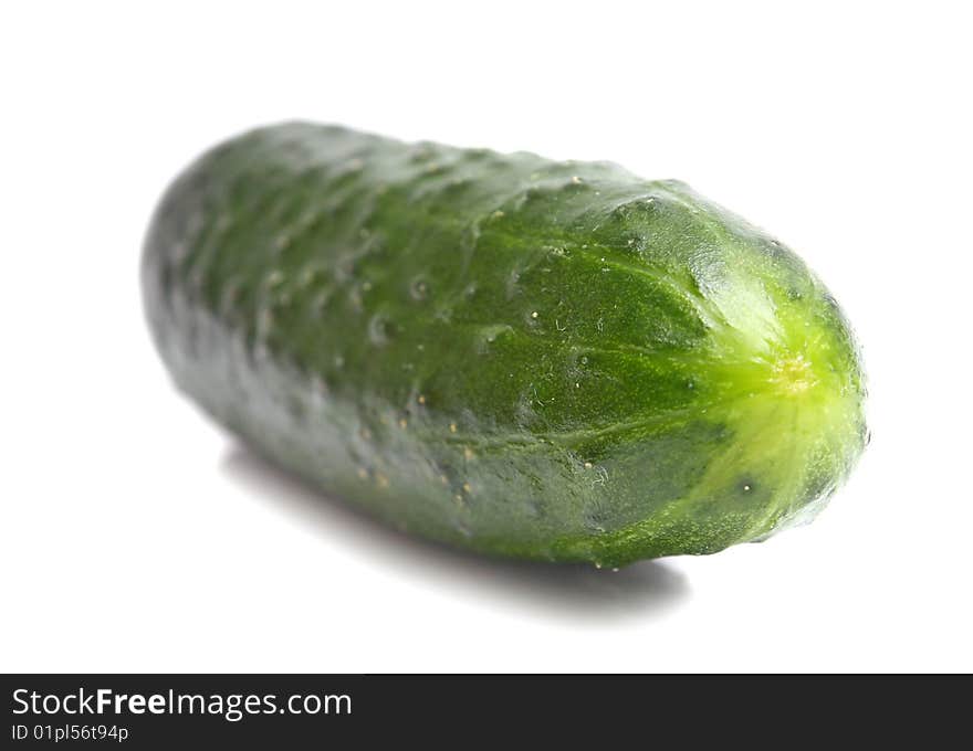 Cucumber