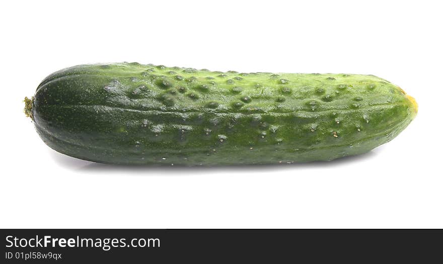 Cucumber