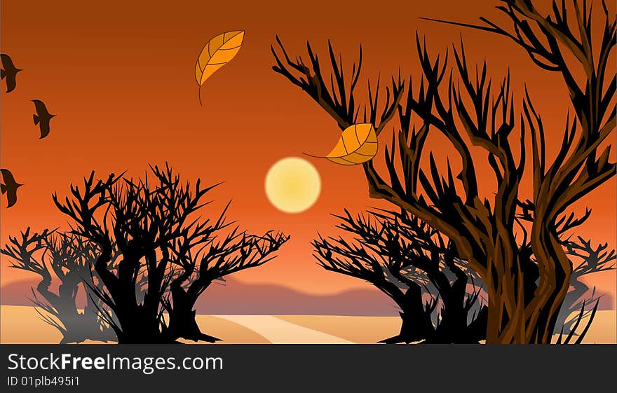 The trees under the Sunset -illustrator