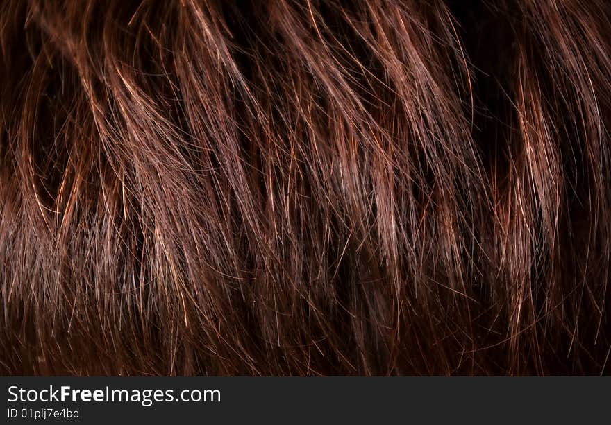 Brunette woman's hair closeup plan