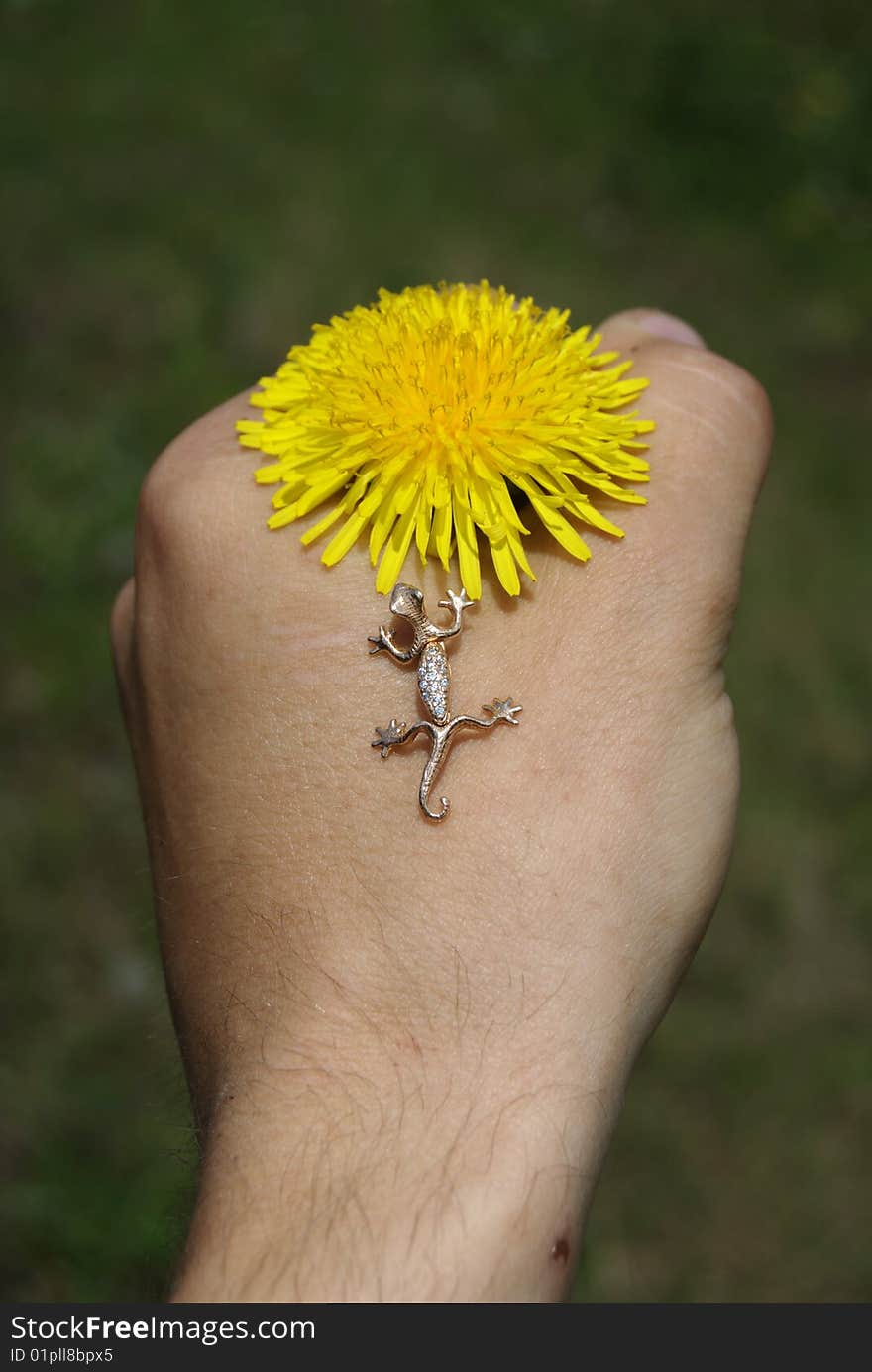 Dandelion In Hand