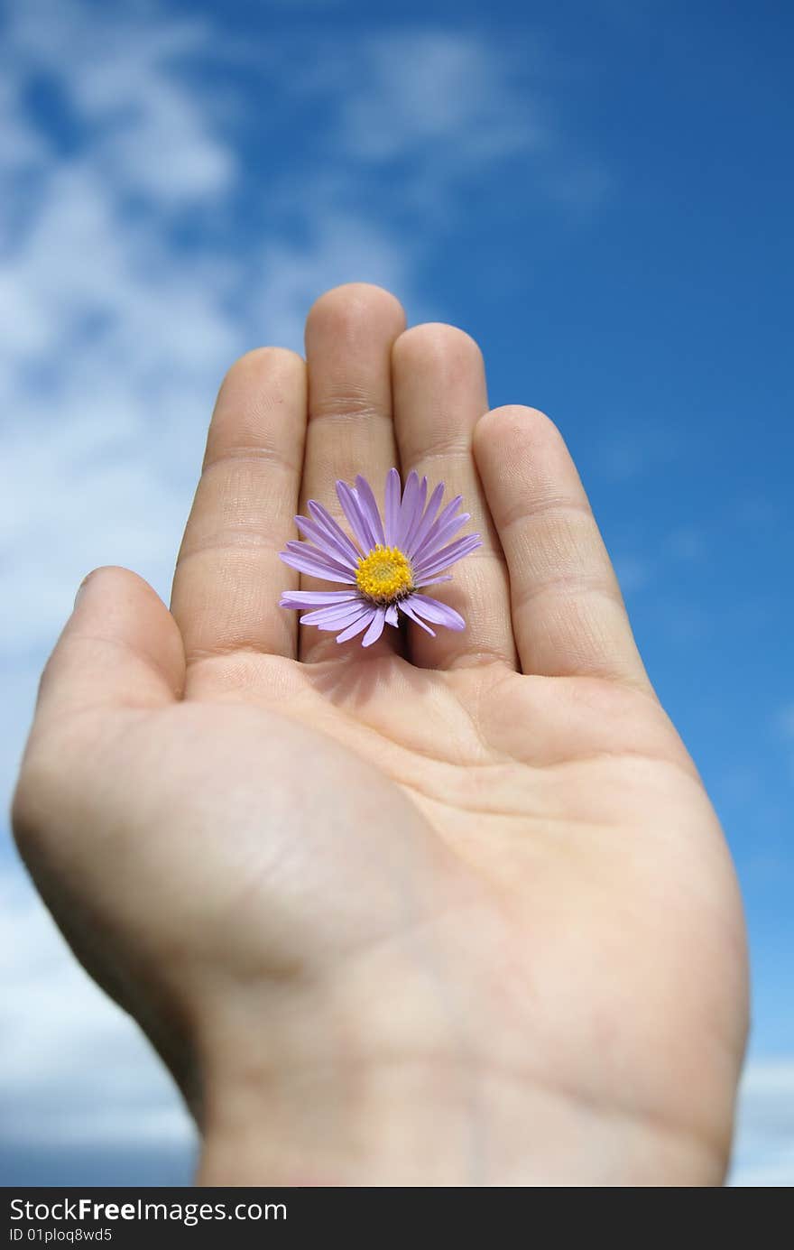 Marguerite is in a masculine hand