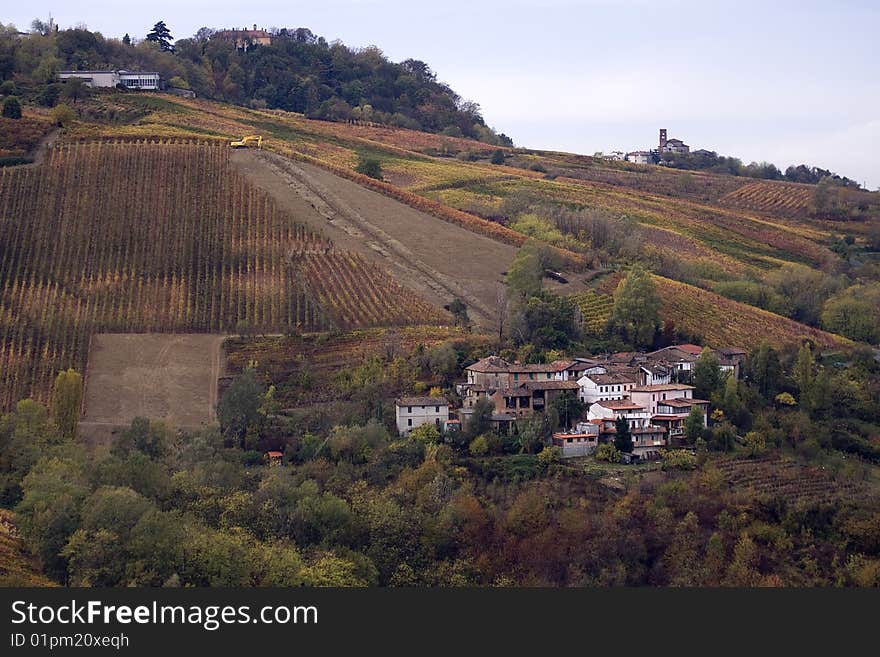 Italian vineyards in Oltrepo Pavese