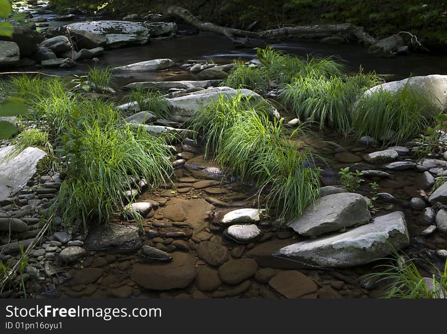 Little stream in New York State, early morning. Little stream in New York State, early morning.