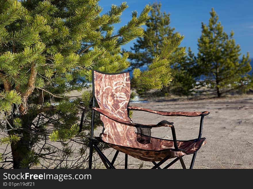 Folding chair in the forest