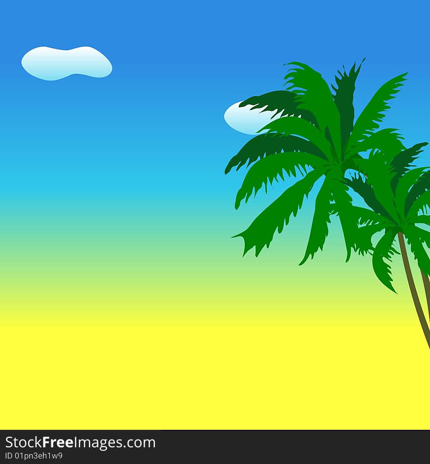 Palm tree