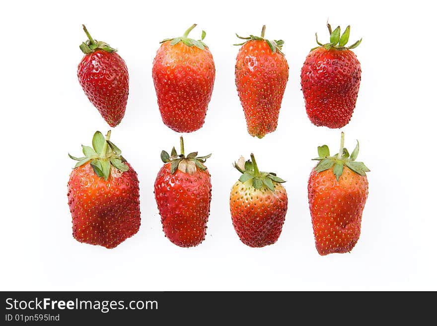 Isolated Strawberry in two rows