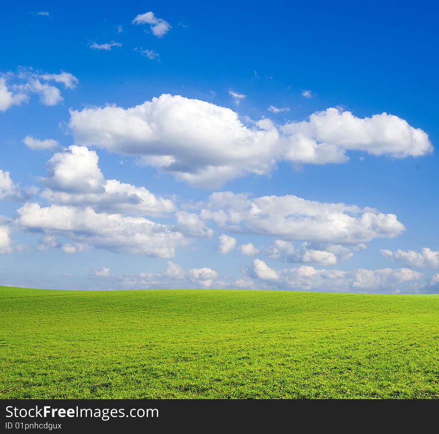 Field on a background of the blue sky