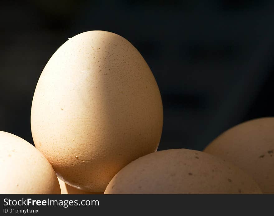 Close up of a brown egg over a black background. Close up of a brown egg over a black background