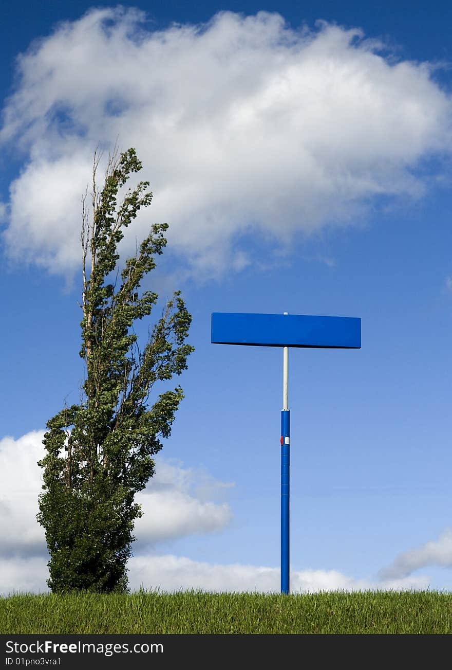 Blank sign post with tree and white cloud sky. Blank sign post with tree and white cloud sky