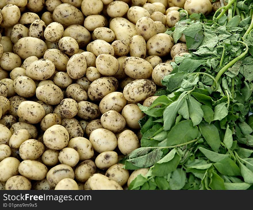 Potatoes