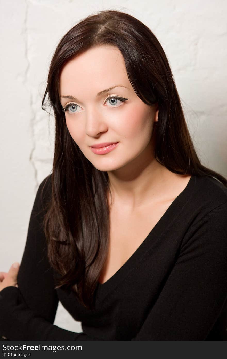 The young beautiful woman, portrait in studio. The young beautiful woman, portrait in studio