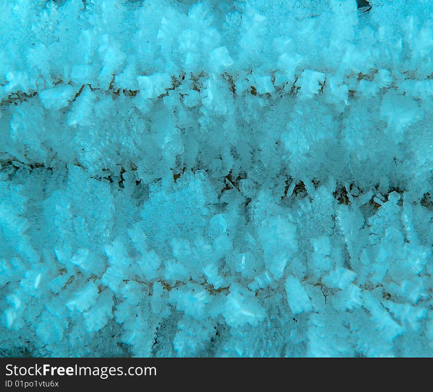 The hoarfrost on stems of the plants.