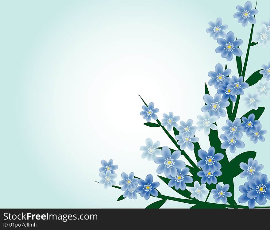 Illustration of small blue flowers. Illustration of small blue flowers