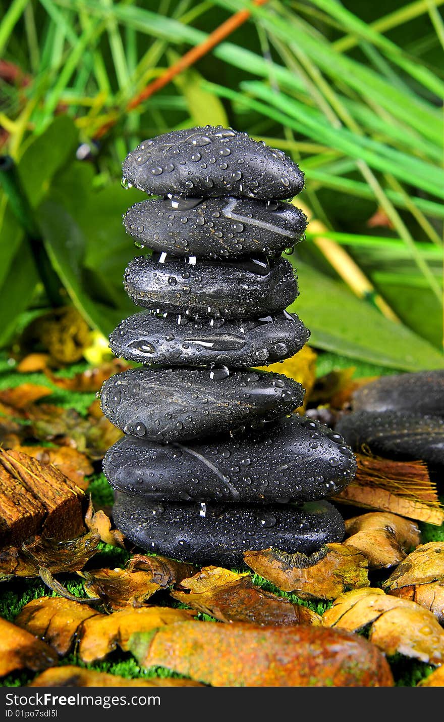 Black zen stones in jungle with water drops