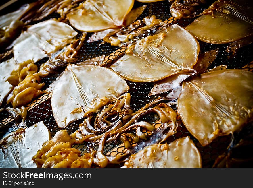 Drying Squid