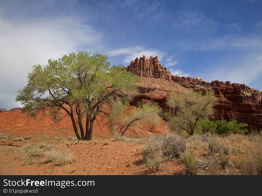 View of the red rock formations in Capitol Reef National Park with blue sky�s and clouds