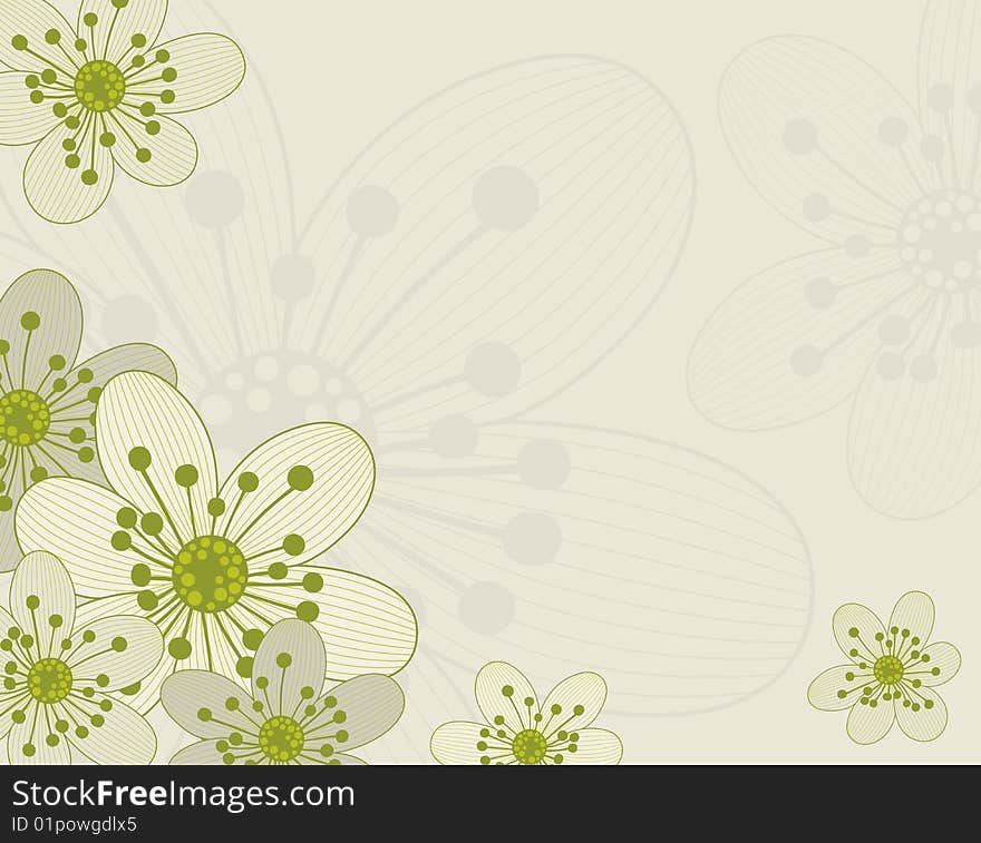 Beautiful background with flower design. Beautiful background with flower design