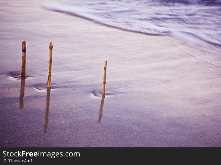 Three canes in long exposed water. Three canes in long exposed water.