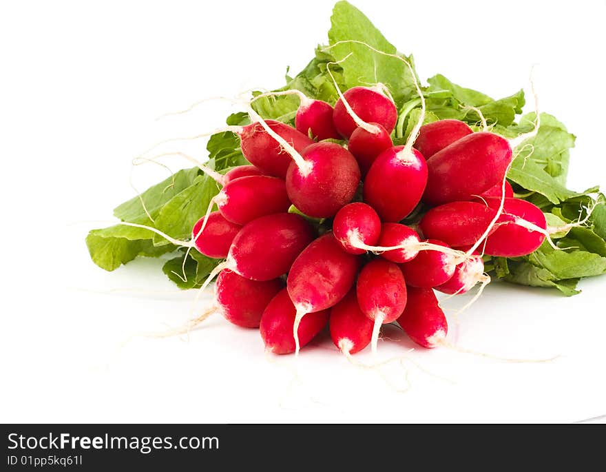 Fresh radish bunch