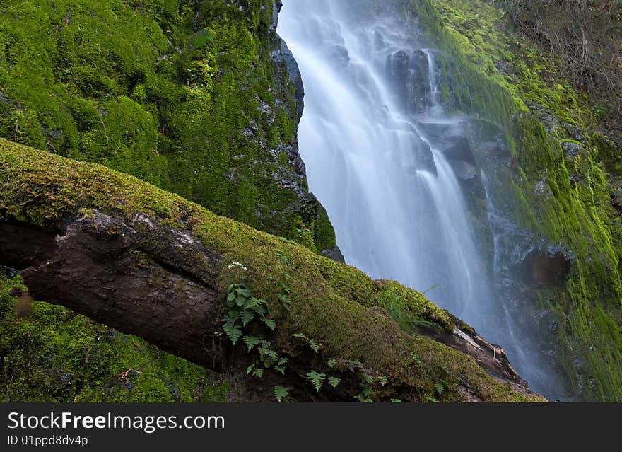 Cascade Falls