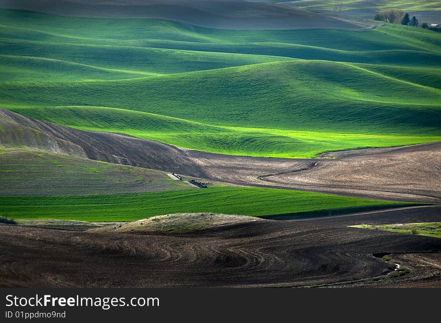 Palouse Farm