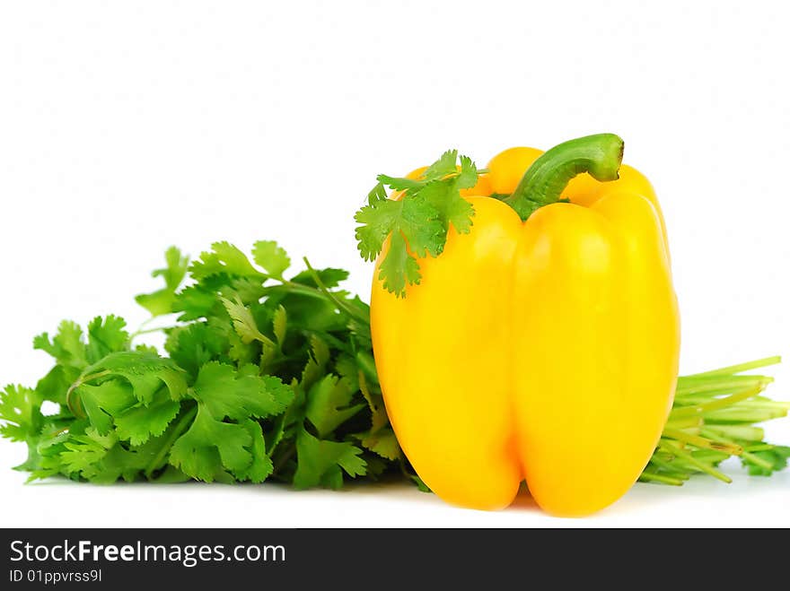 Cilantro And Yellow Paprika