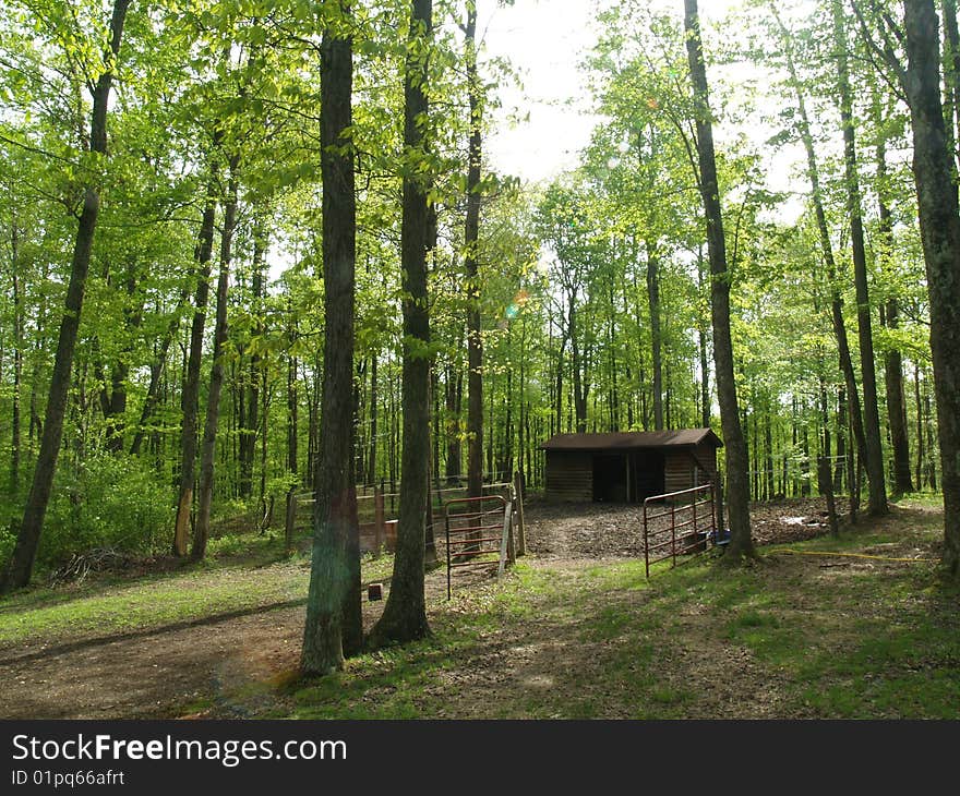 Rustic horse barn in a field. Rustic horse barn in a field.