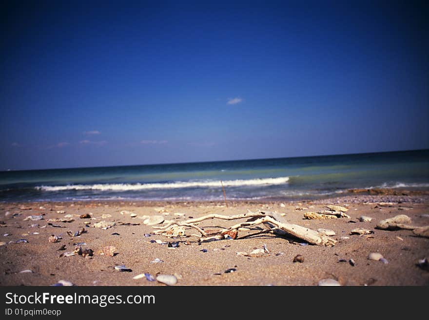 Beach view