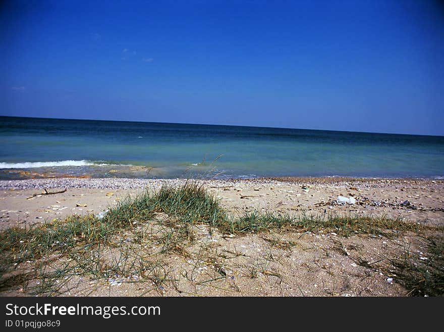 Beach view