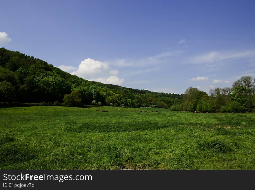 German Countryside