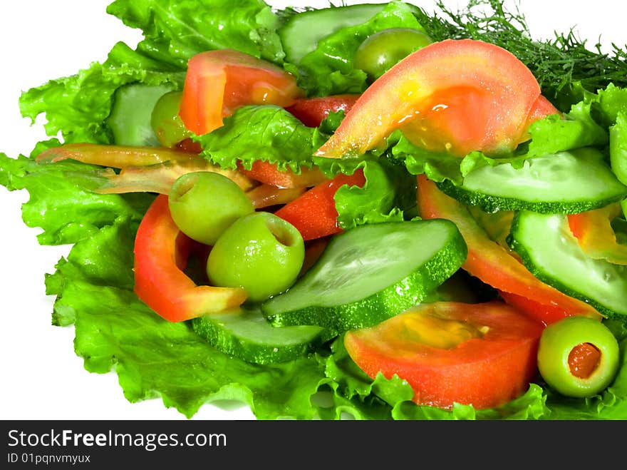 Vegetable with verdure isolated over white