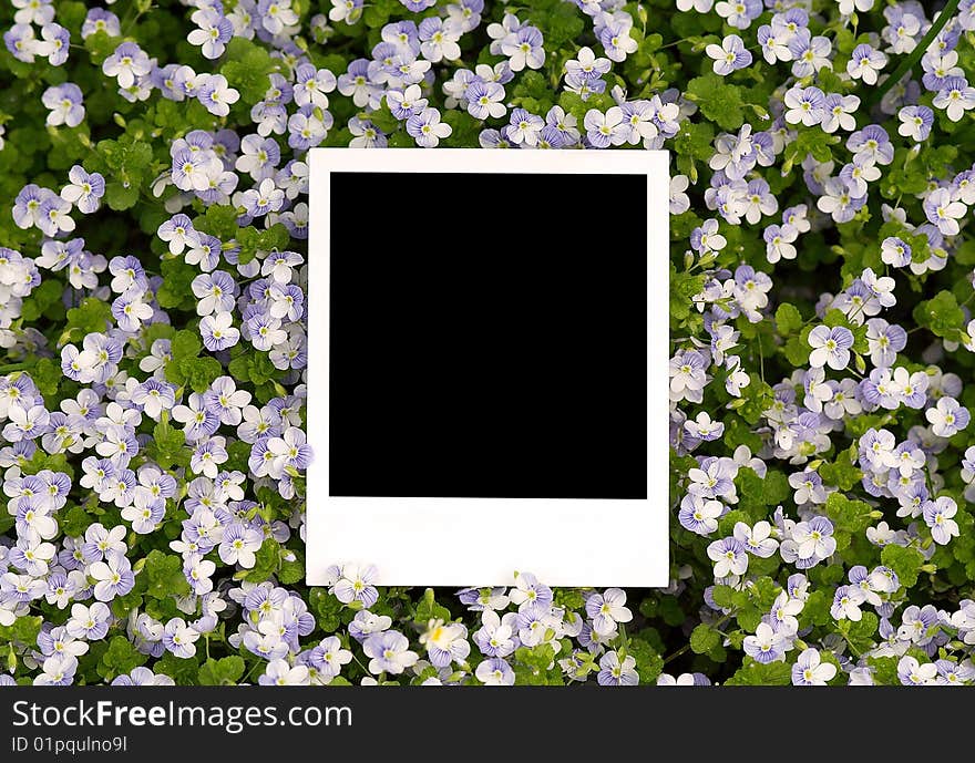 Blank photo on floral background