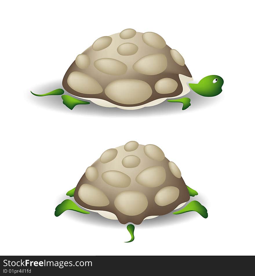 A cartoon vector illustration of a turtle isolated on white background, rear and side-view. A cartoon vector illustration of a turtle isolated on white background, rear and side-view.