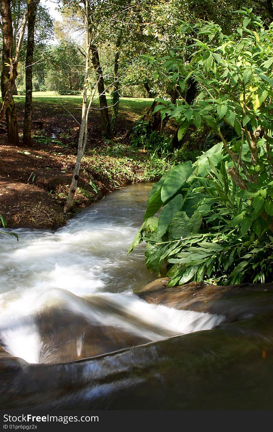 Nature in the central zone of Mexico. Nature in the central zone of Mexico