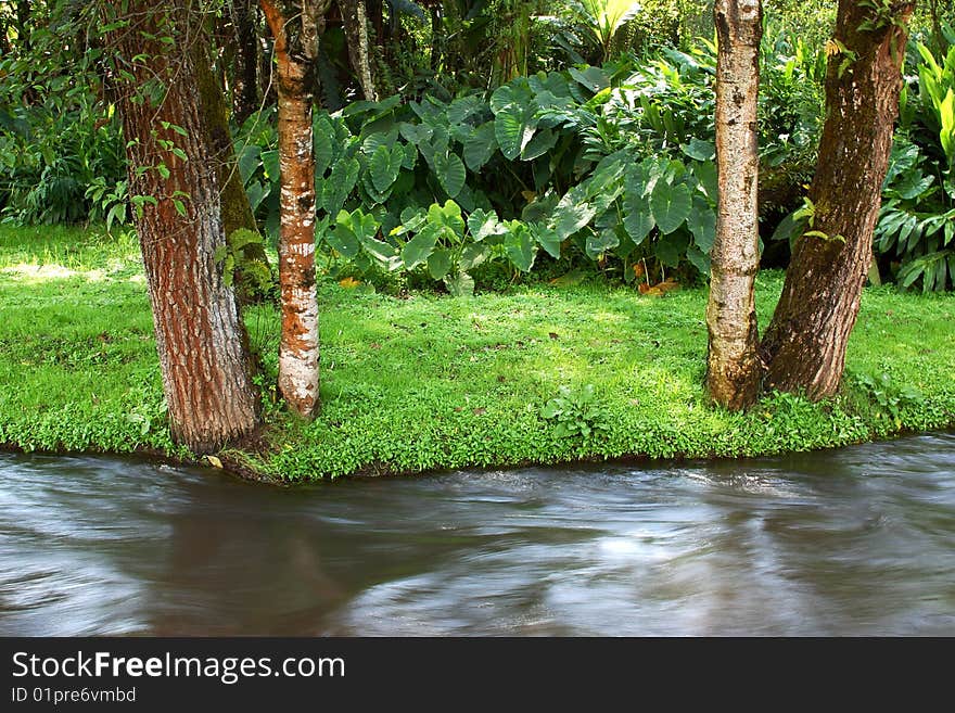 Nature in the central zone of Mexico. Nature in the central zone of Mexico