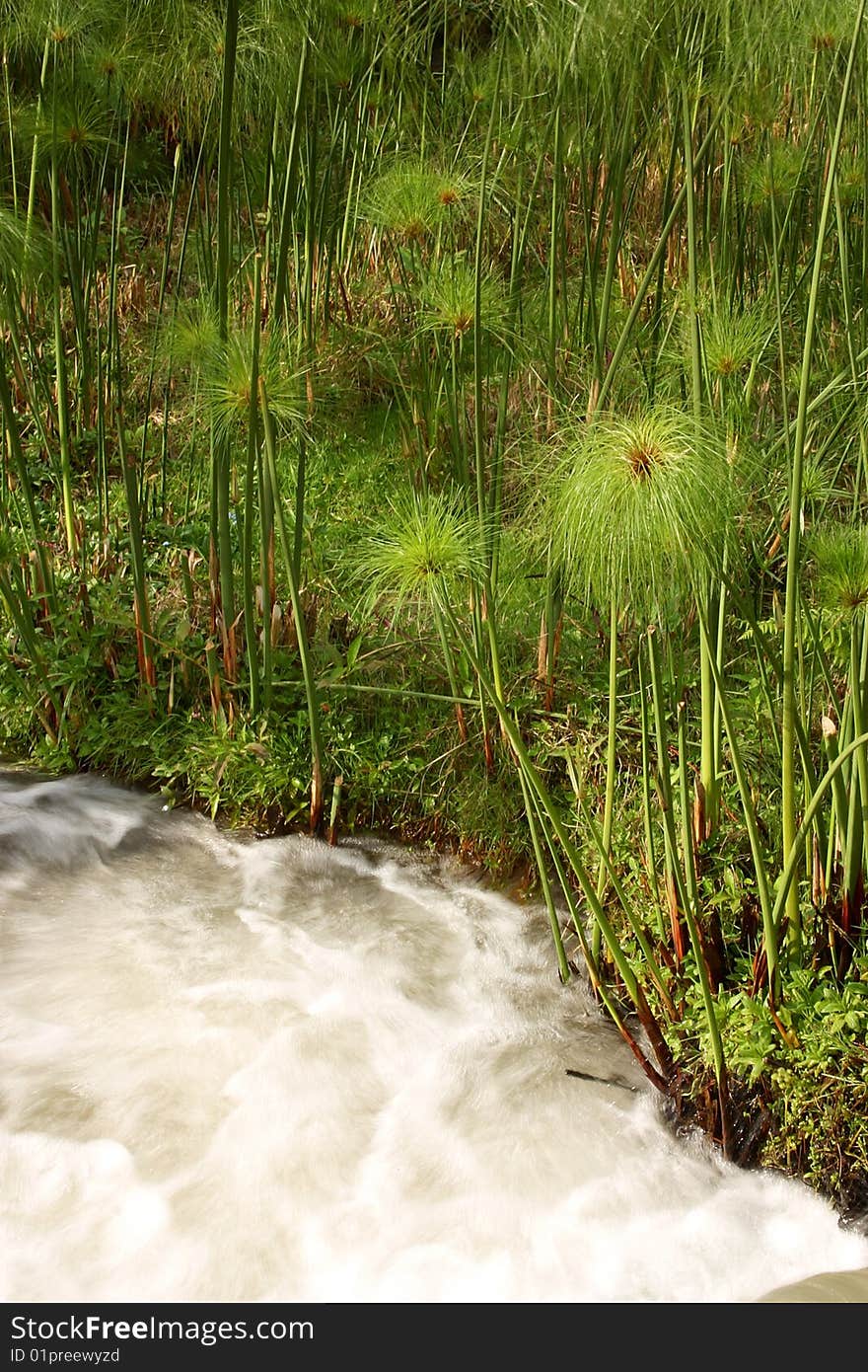 Nature in the central zone of Mexico. Nature in the central zone of Mexico