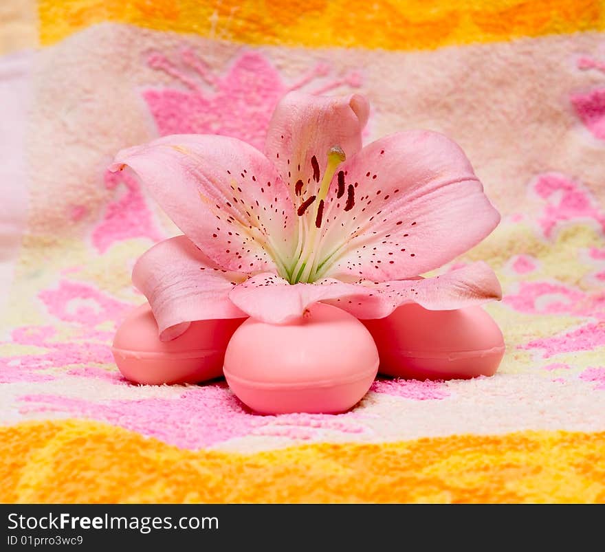 Soap and flower on towel for your design