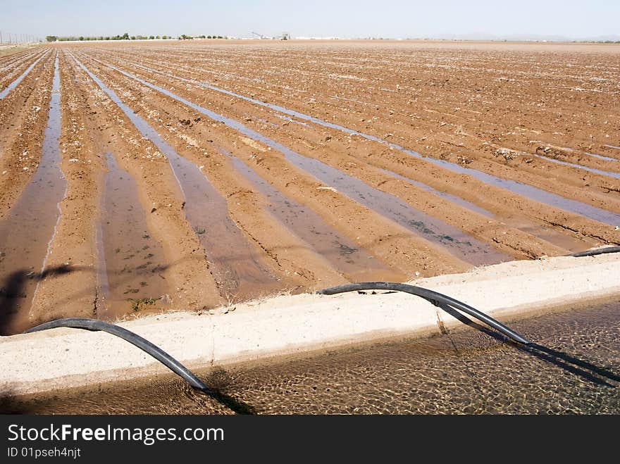 Irrigation canal & siphon tubes