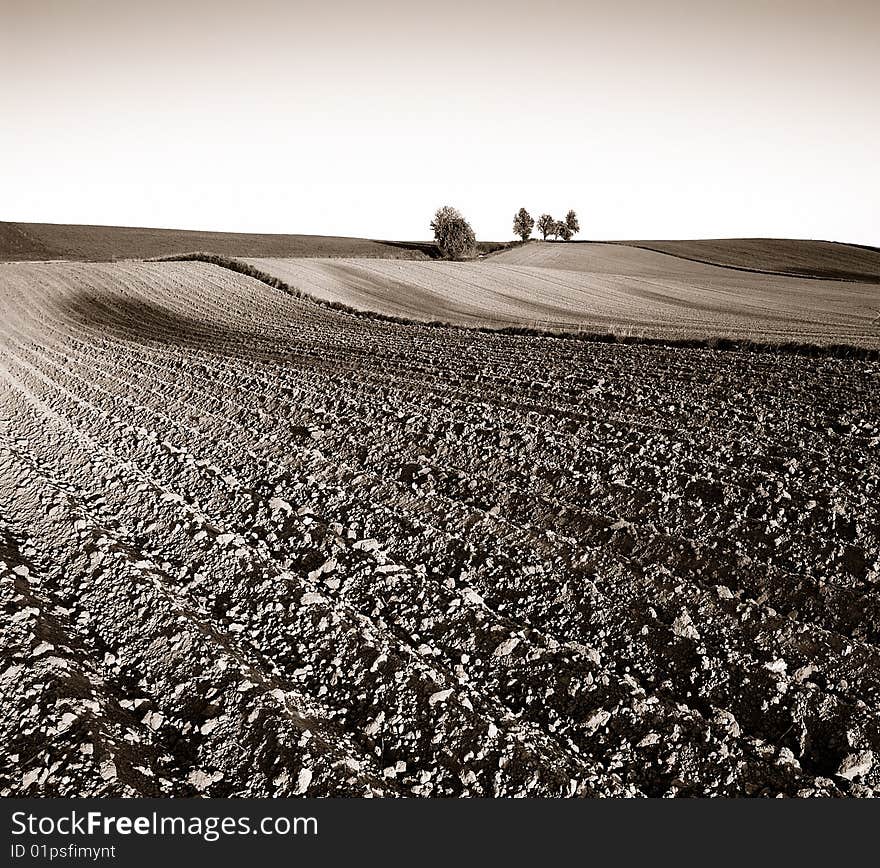 Several trees on the horizon and textured field on the countryside