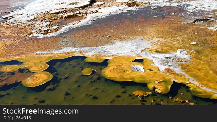 Yellowstone Yellow Mineral Hot Pool