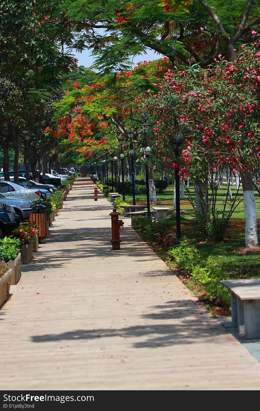 Waling wooden path, parking cars and trees. Waling wooden path, parking cars and trees.