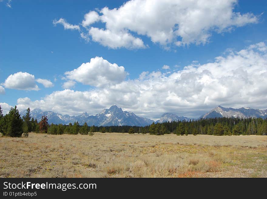 Grand Tetons landscape with prairie