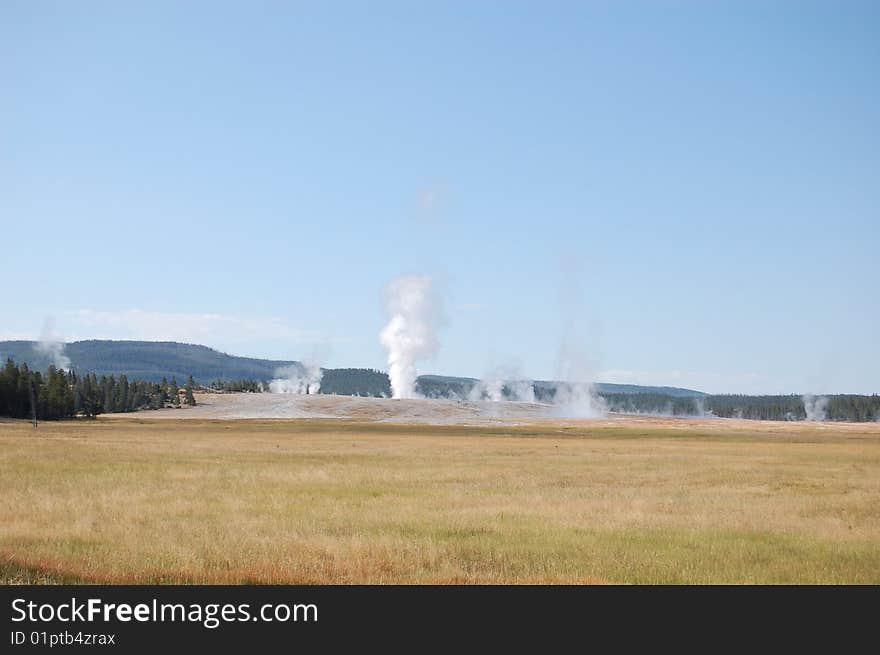 Yellowstone landscape showing many geysers beyond prairie, forest in the background. Yellowstone landscape showing many geysers beyond prairie, forest in the background