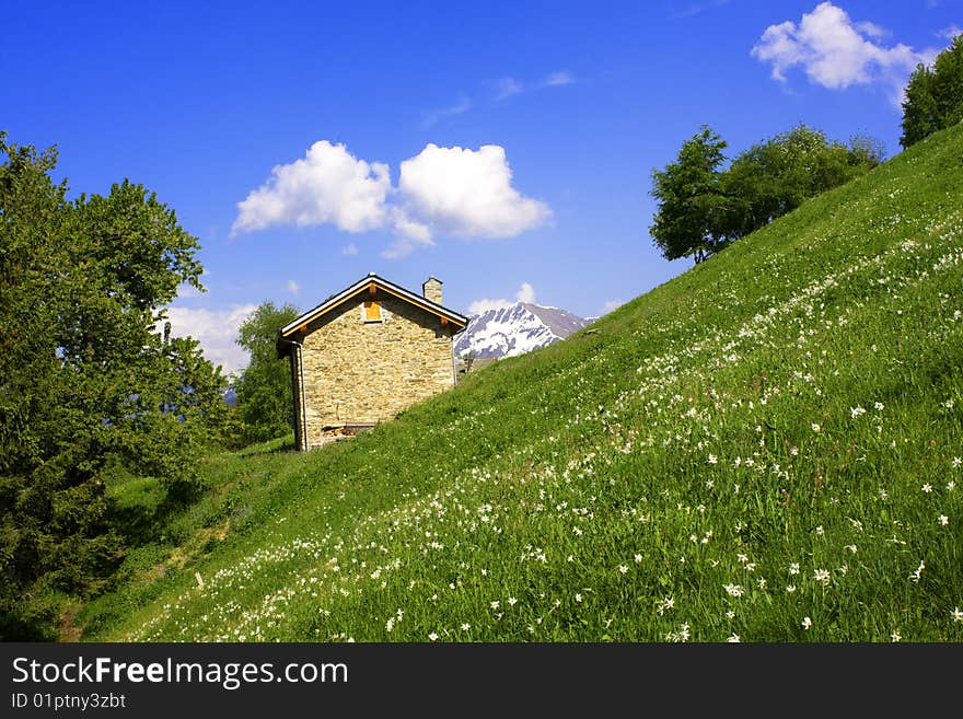 Meadow of mountain flowers and refuges. Meadow of mountain flowers and refuges