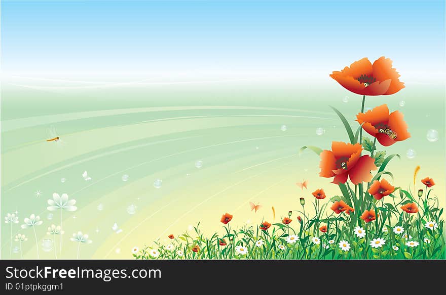 Beautiful floral design with poppies