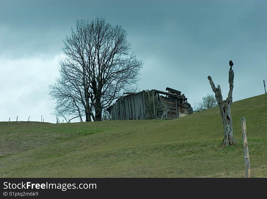 Abandoned barn and dead tree in a meadow