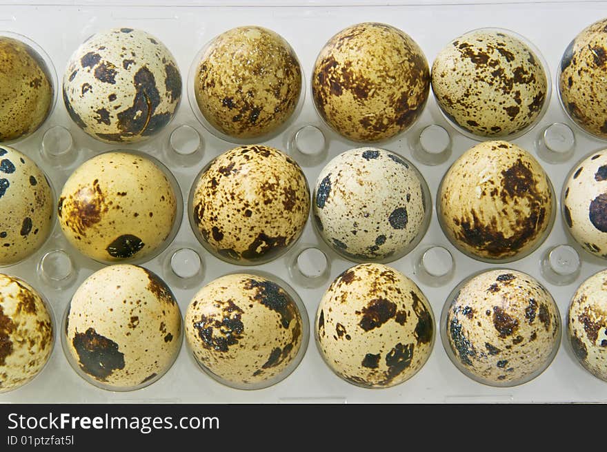 Quail Eggs