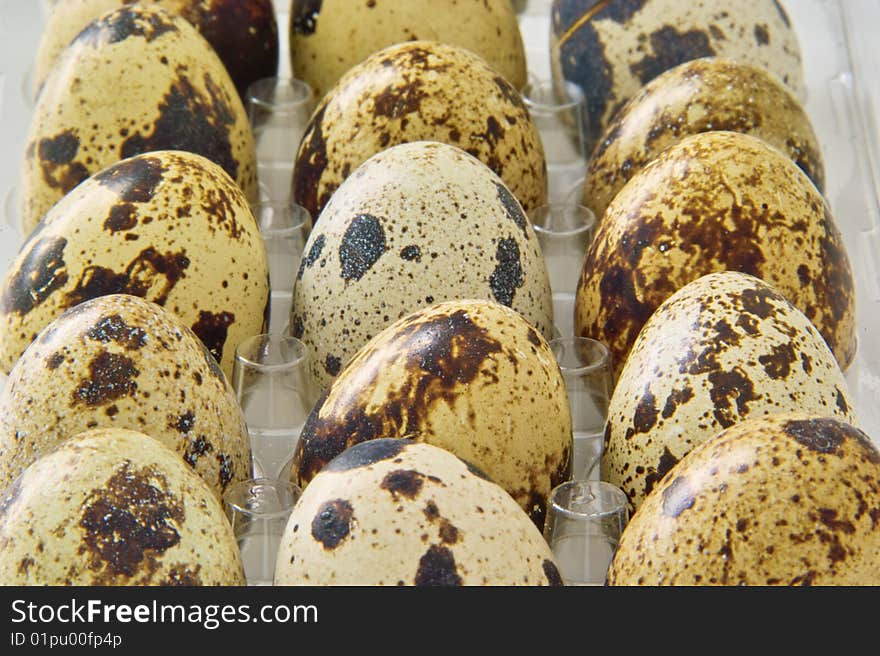 Quail Eggs