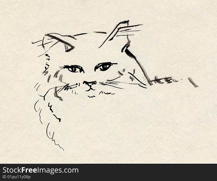 Nice looking cat. Black ink on paper. Nice looking cat. Black ink on paper.